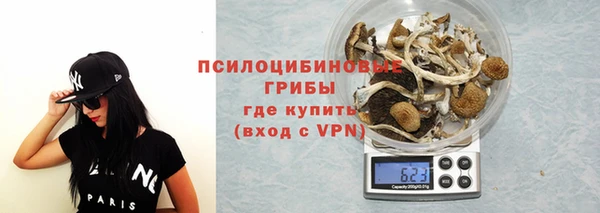 каннабис Майский