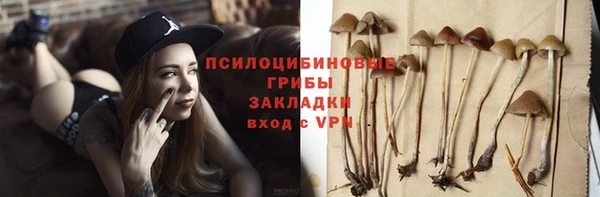 каннабис Майский
